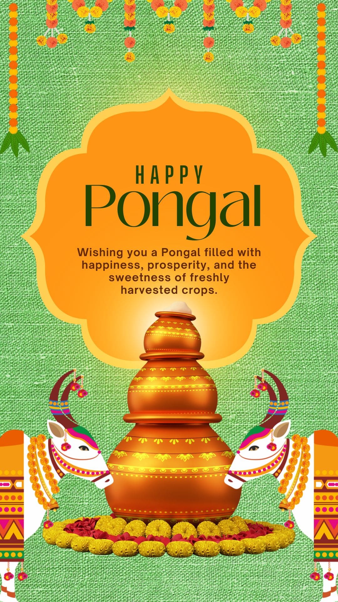 Pongal Wish 4