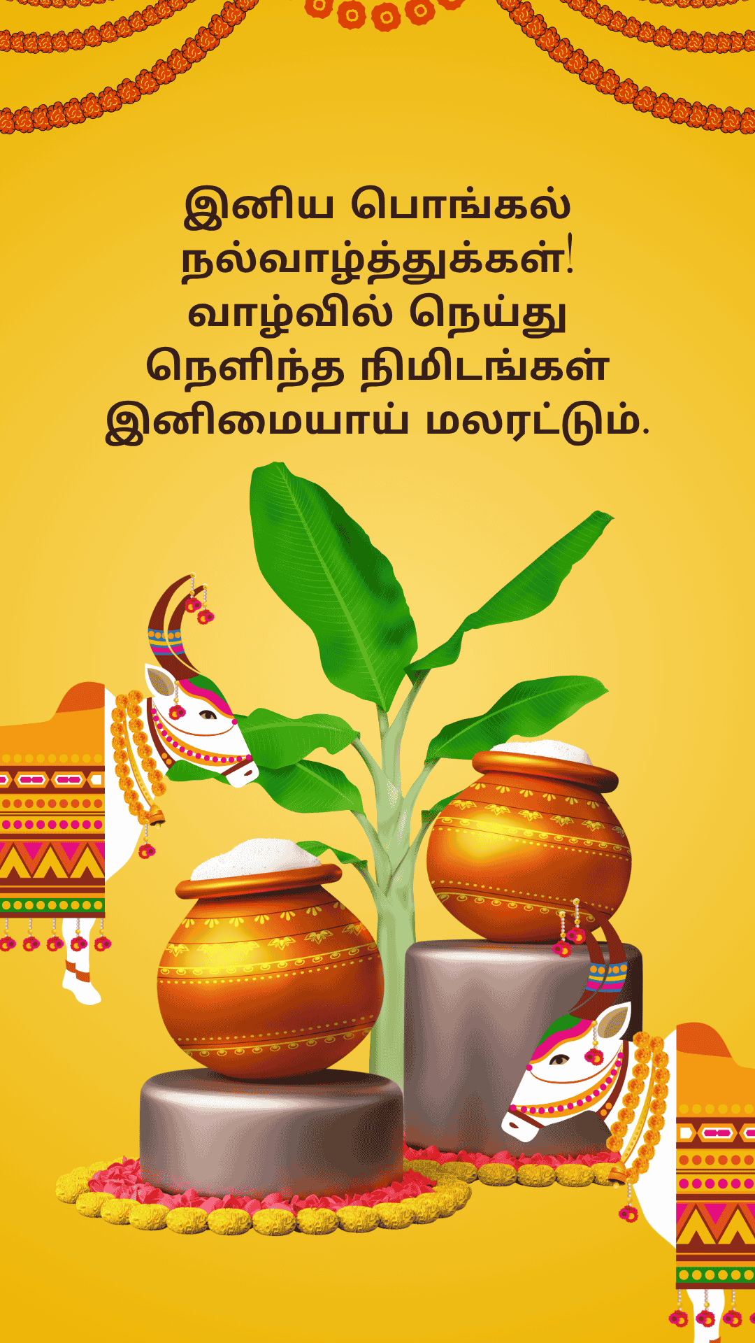 Pongal Wish 3