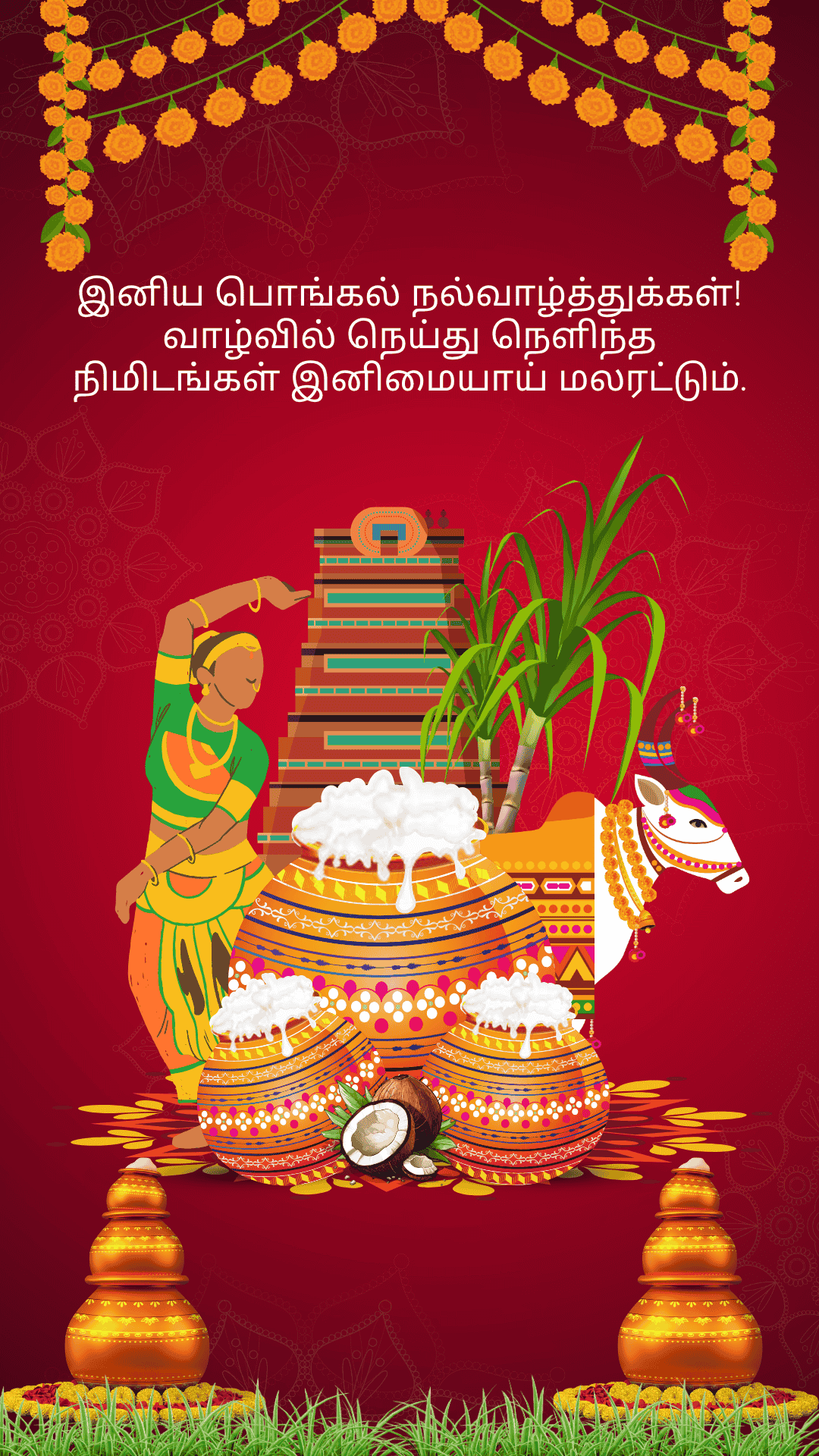 Pongal Wish 7