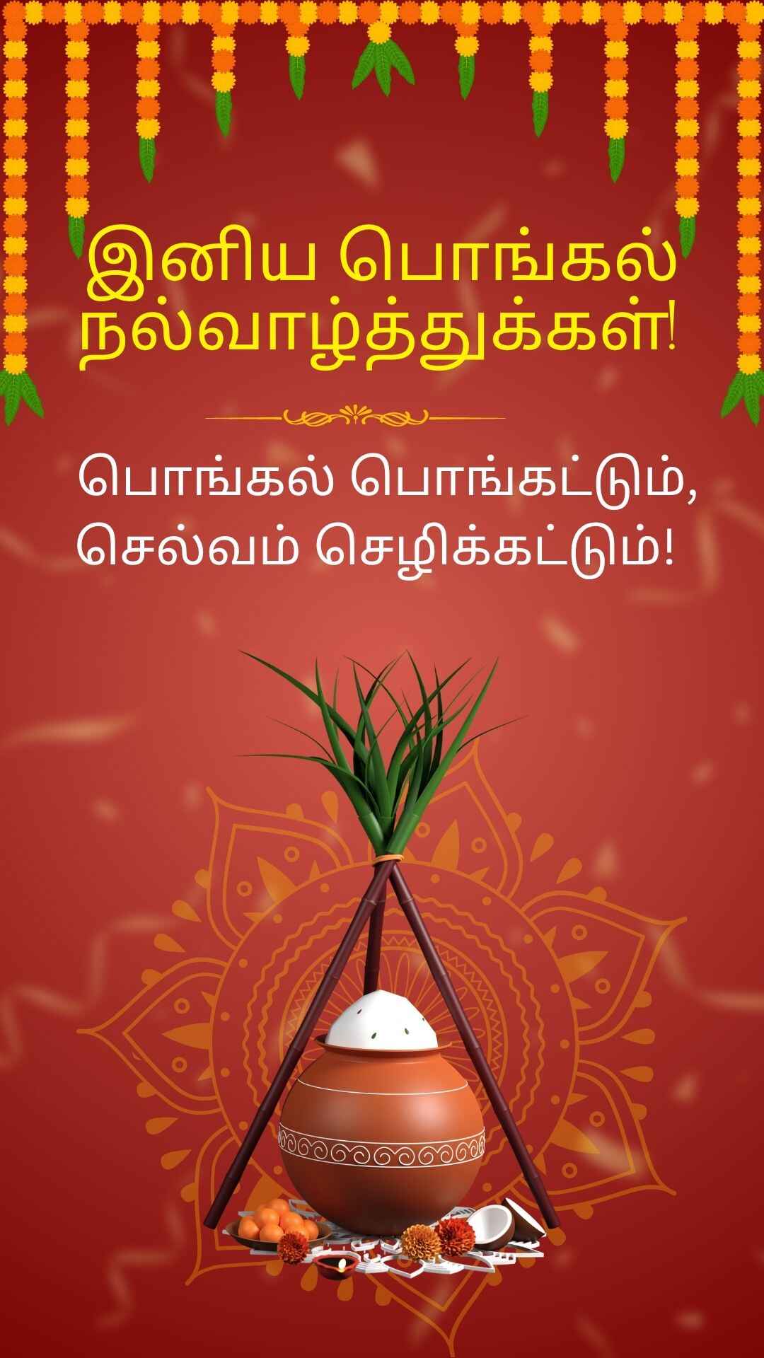 Pongal Wish 8