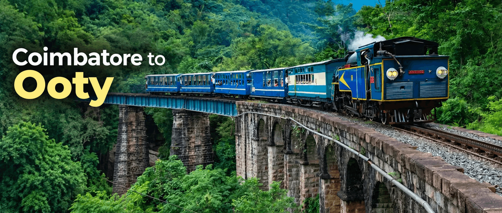Coimbatore to Ooty Road Trip: Complete Travel Guide
