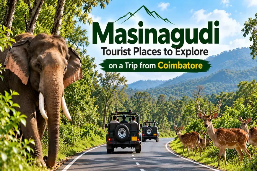 Masinagudi Tourist Places to Explore on a Trip from Coimbatore
