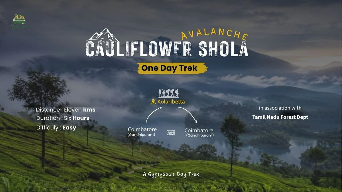 One Day Trek