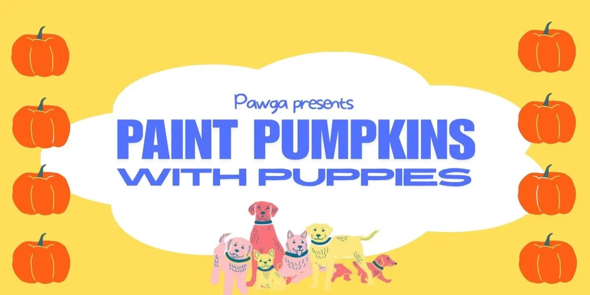 Pawga's Paint Pumpkins with Puppies