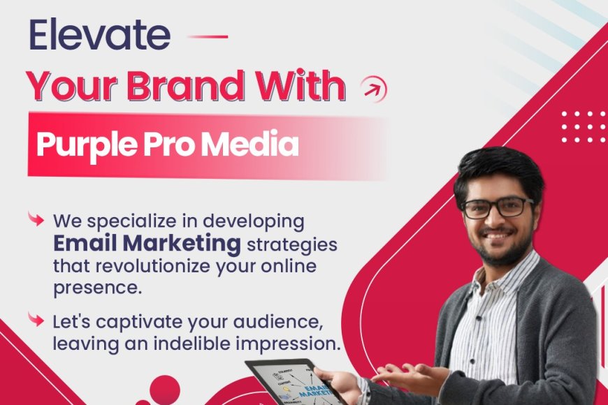 Purple pro media -  E Mail Marketing Company in coimbatore