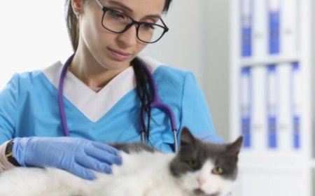 Coimbatore  Top Veterinary Doctors in Coimbatore