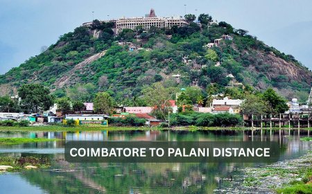 Coimbatore to Palani Distance – Routes, Travel Time & Temple Visit Guide