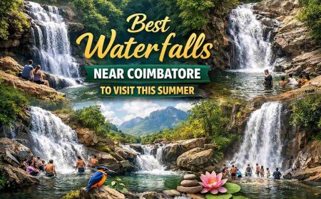 Best Waterfalls Near Coimbatore to Visit This Summer 2026