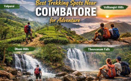 Best Trekking Spots Near Coimbatore for Adventure