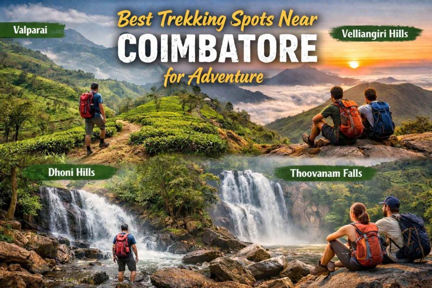 Best Trekking Spots Near Coimbatore for Adventure